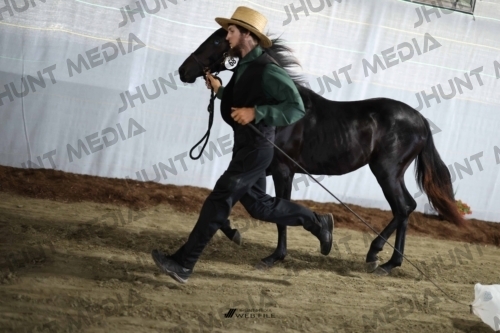 JHM_2076
