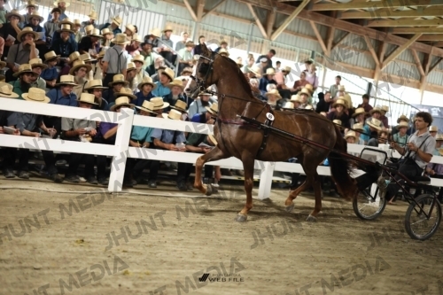JHM_2078
