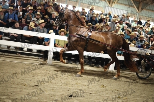 JHM_2079