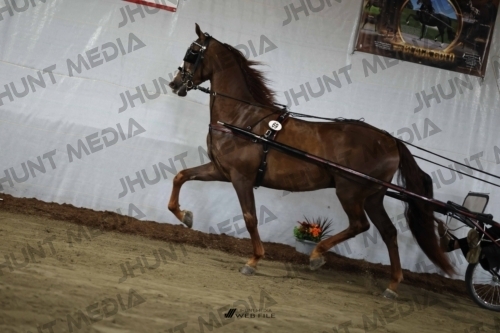 JHM_2085
