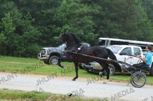 JHM_0444