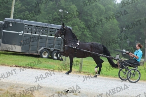 JHM_0453