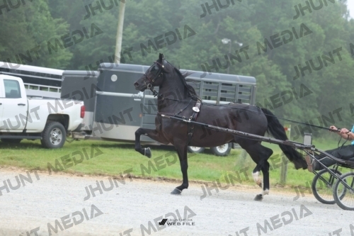 JHM_0481