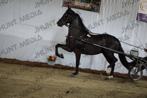 JHM_2095