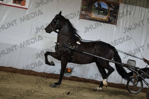 JHM_2097