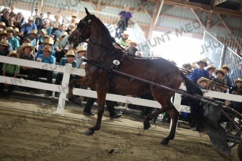 JHM_2177