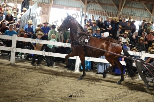 JHM_2179