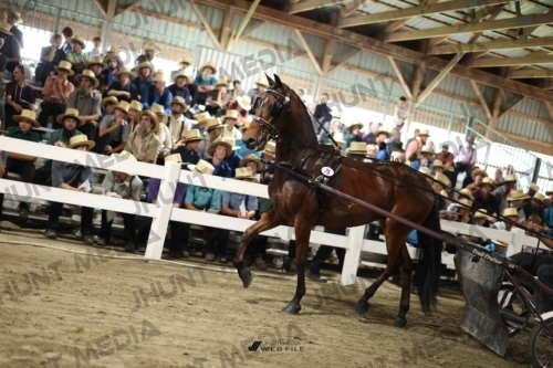 JHM_2180