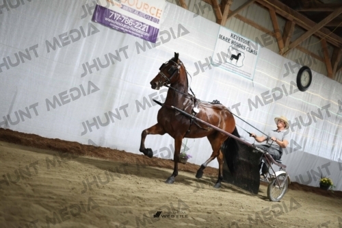 JHM_2185