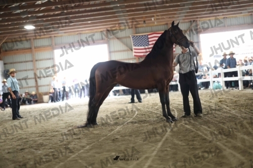 JHM_2162