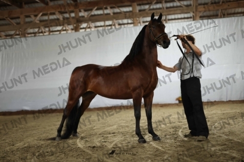 JHM_2170