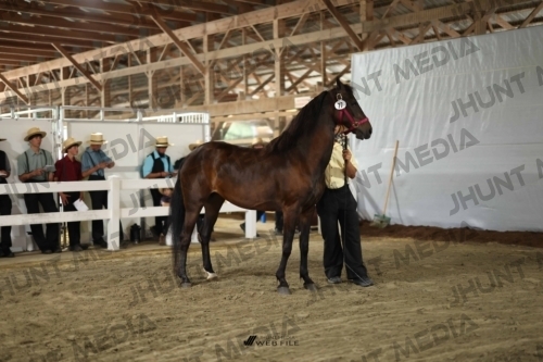 JHM_2189
