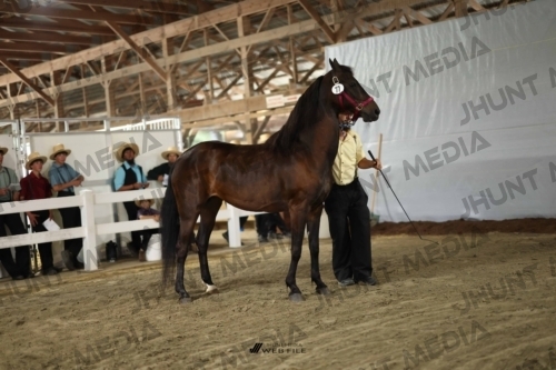 JHM_2190