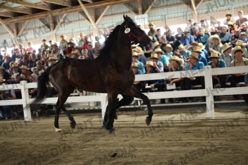 JHM_2192
