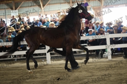 JHM_2193