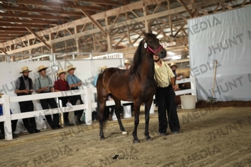 JHM_2194
