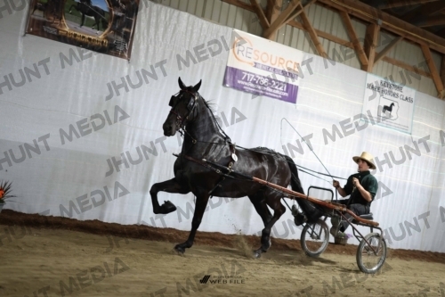 JHM_2195