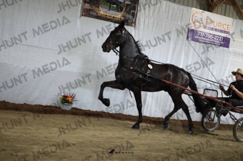 JHM_2197