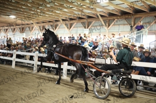JHM_2201
