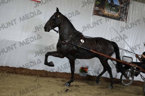 JHM_2205