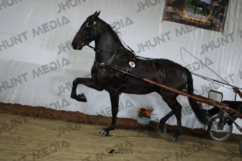 JHM_2207