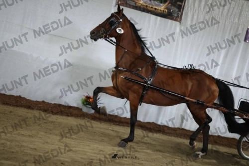 JHM_2212
