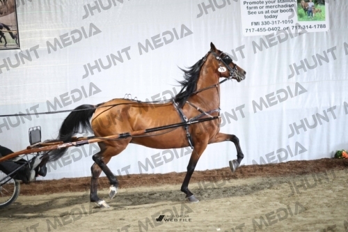 JHM_2218