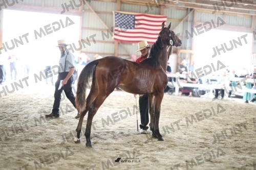 JHM_2223