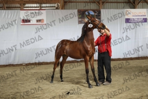 JHM_2229