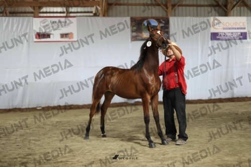 JHM_2230