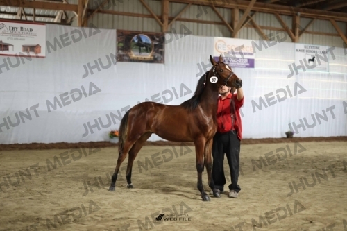 JHM_2231