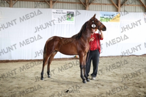 JHM_2234