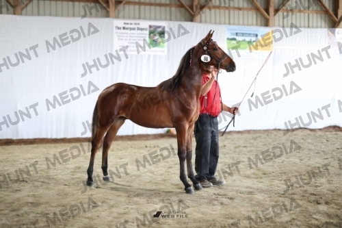 JHM_2235