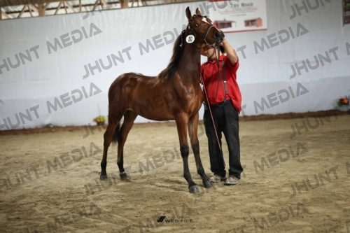 JHM_2238
