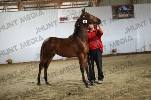 JHM_2241