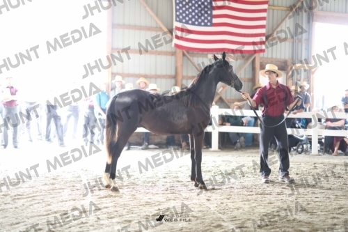 JHM_2245