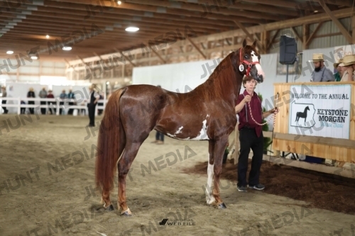 JHM_2249