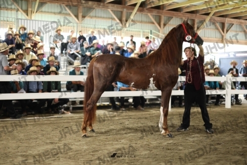 JHM_2253