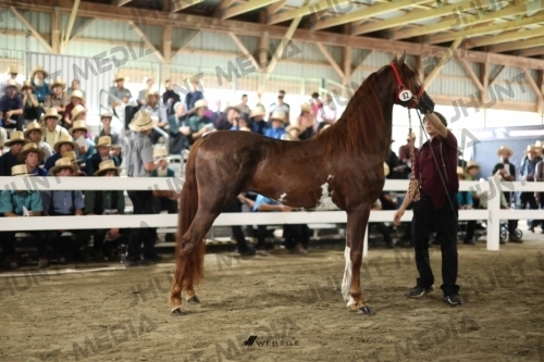 JHM_2254