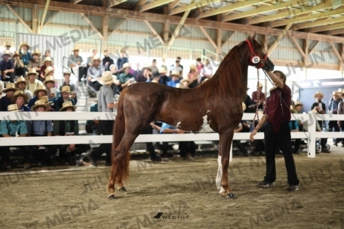 JHM_2255