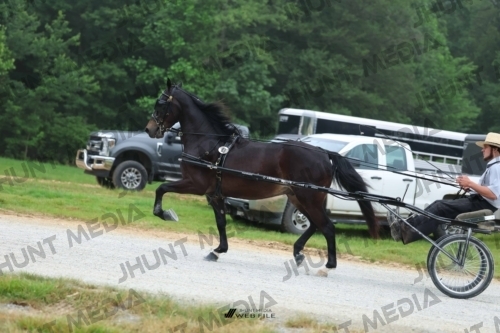 JHM_0379