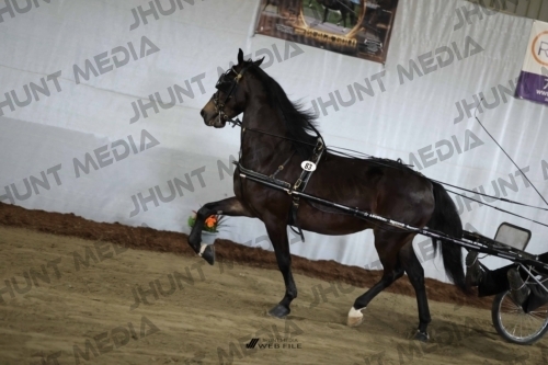 JHM_2261