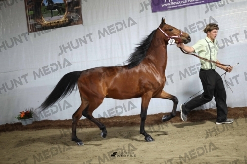JHM_2271