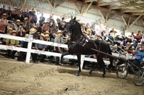 JHM_2278