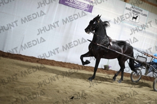 JHM_2279