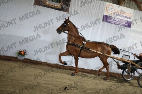 JHM_2283