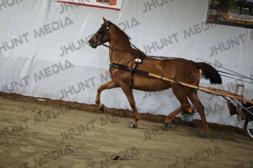 JHM_2284