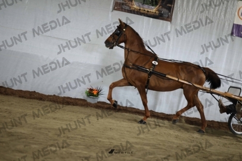JHM_2286