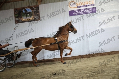 JHM_2293