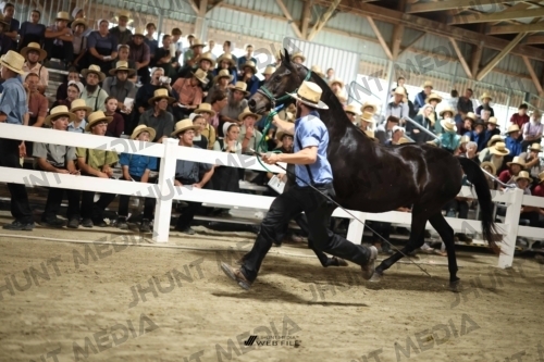 JHM_2314